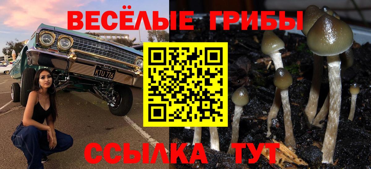 Псилоцибиновые грибы GOLDEN TEACHER Александров