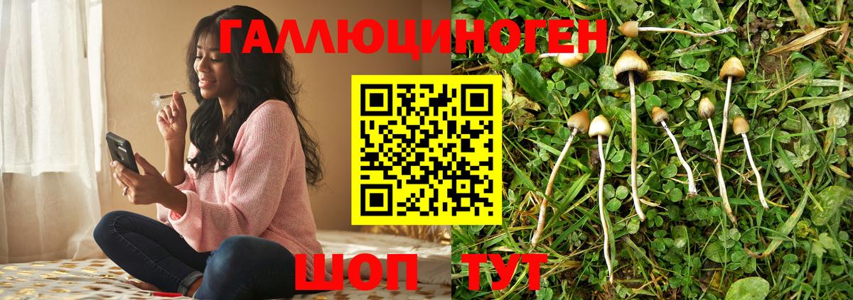 где найти   Александров  Галлюциногенные грибы Magic Shrooms 