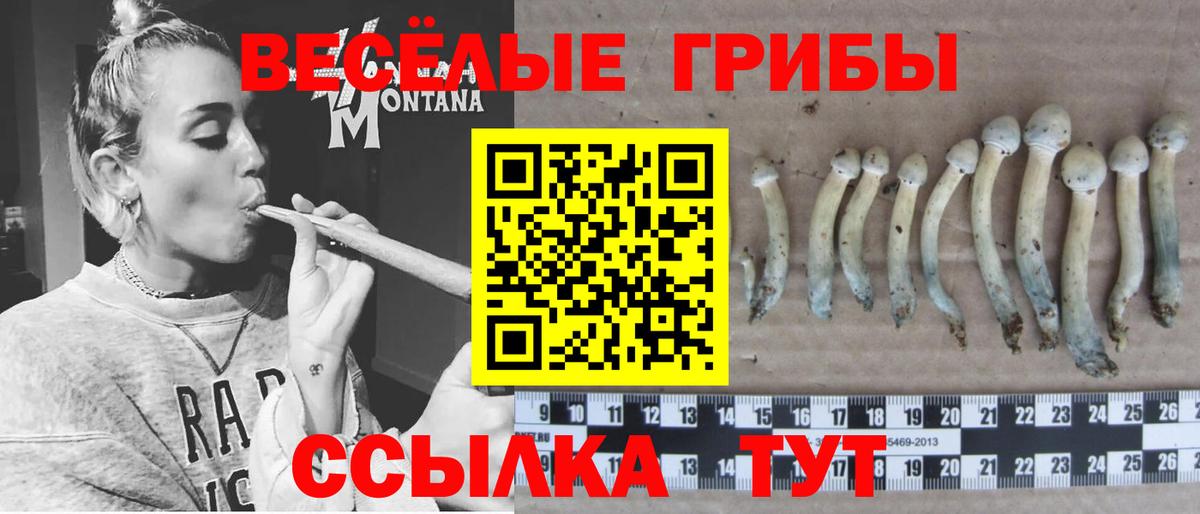 Галлюциногенные грибы GOLDEN TEACHER Александров