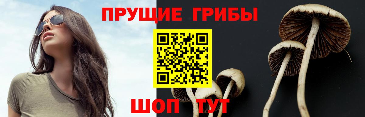 Псилоцибиновые грибы ЛСД  Вход с VPN  Александров 