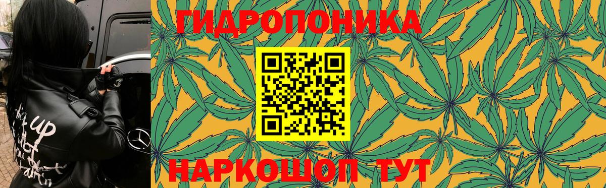 Марихуана семена Александров